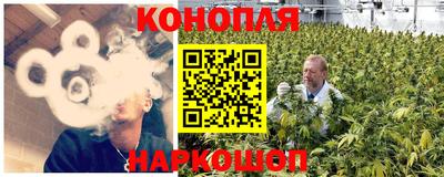 СК Пугачёв