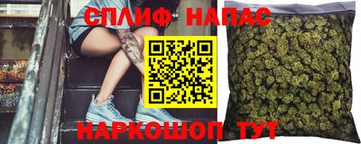 СК Пугачёв