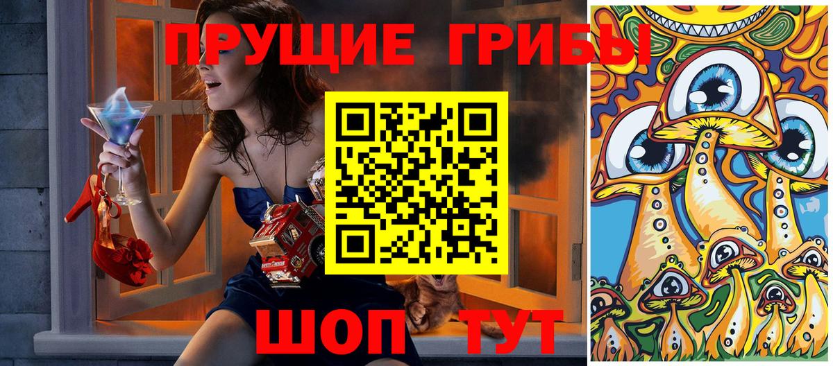 Галлюциногенные грибы Cubensis Орехово-Зуево