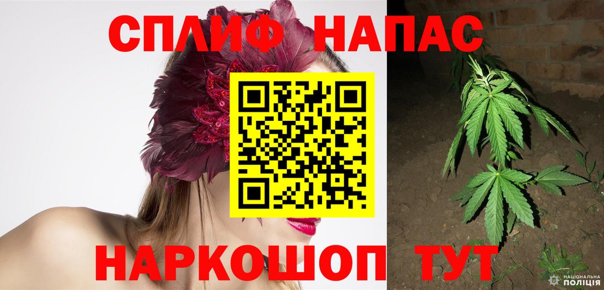 Бошки марихуана Amnesia Орехово-Зуево